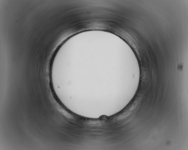 X0000101410843200808041102