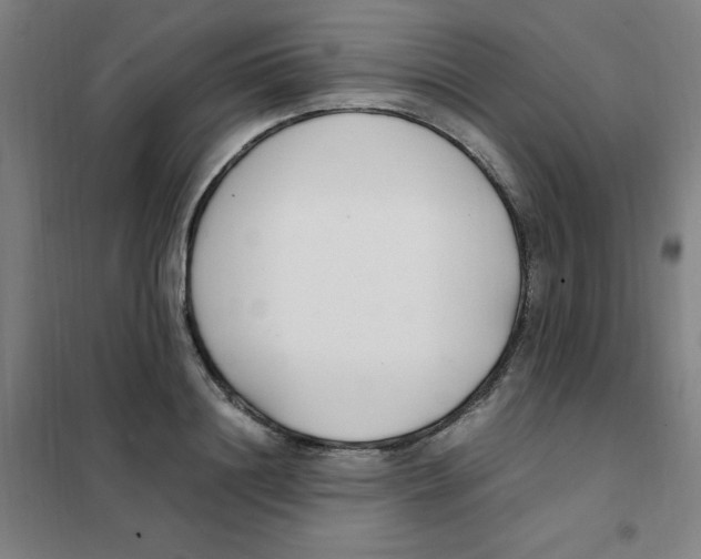 X0000101410844200808041102