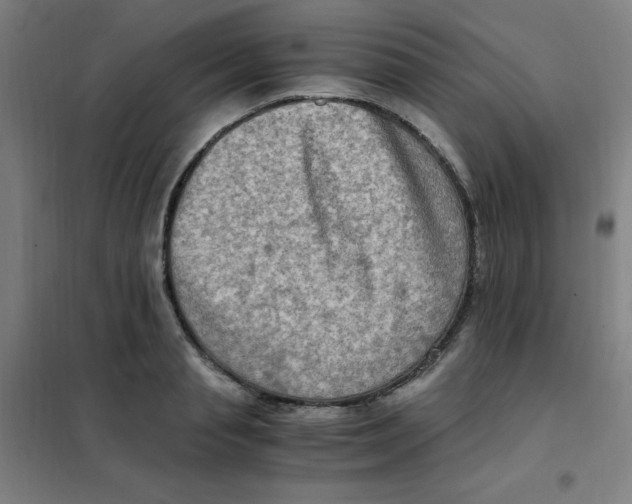 X0000101410845200808041102