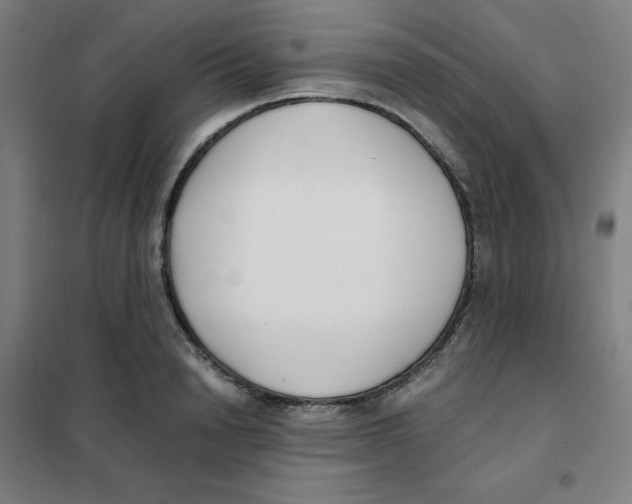 X0000101410846200808041102