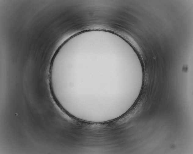X0000101410847200808041102