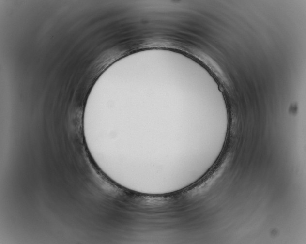 X0000101410849200808041102