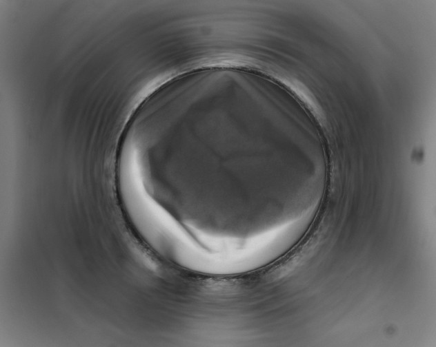 X0000101410850200808041102