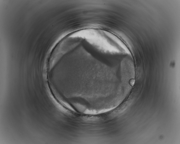 X0000101410851200808041102