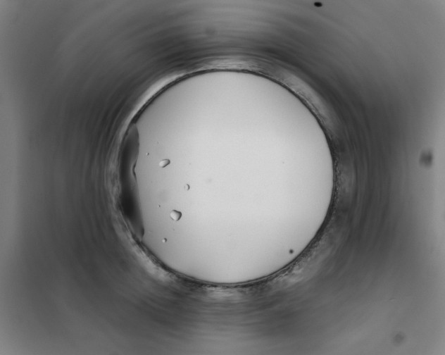 X0000101410852200808041102