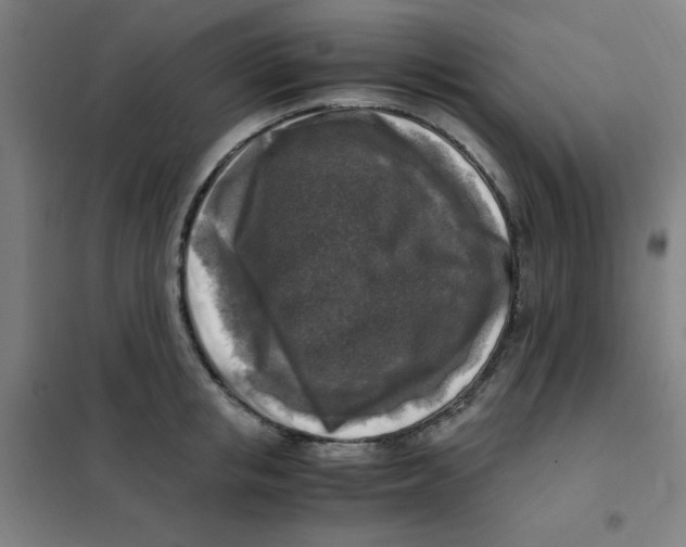 X0000101410853200808041102
