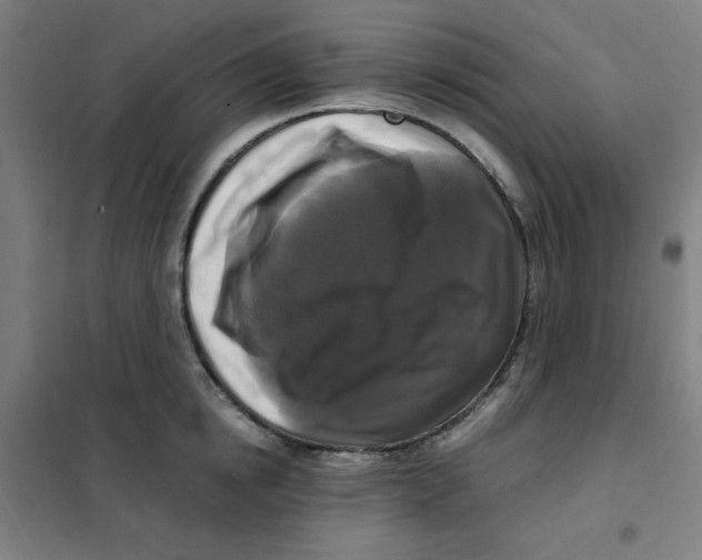X0000101410854200808041102