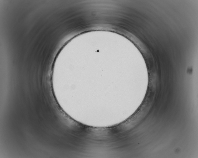 X0000101410856200808041102