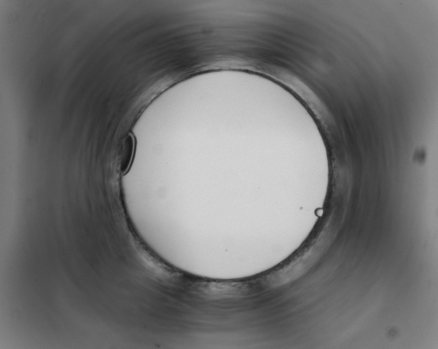X0000101410857200808041102
