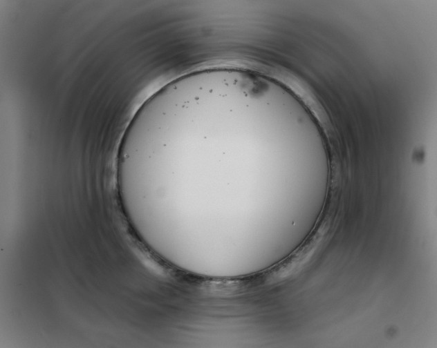 X0000101410858200808041102