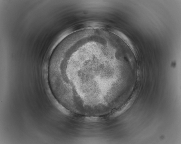 X0000101410859200808041102