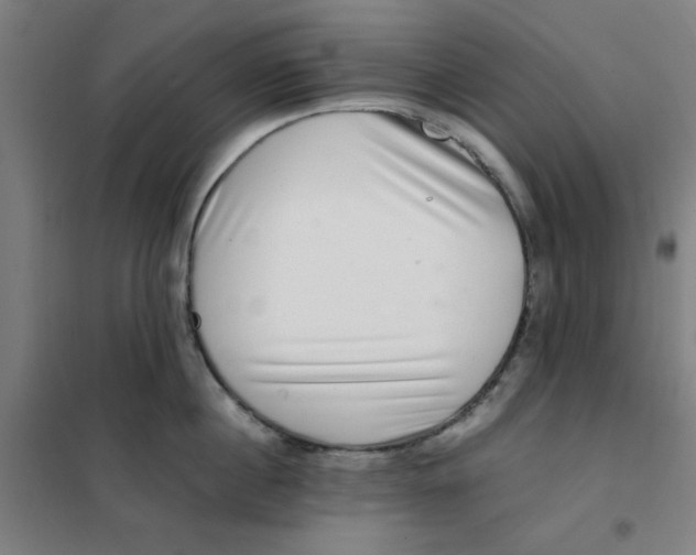 X0000101410860200808041102