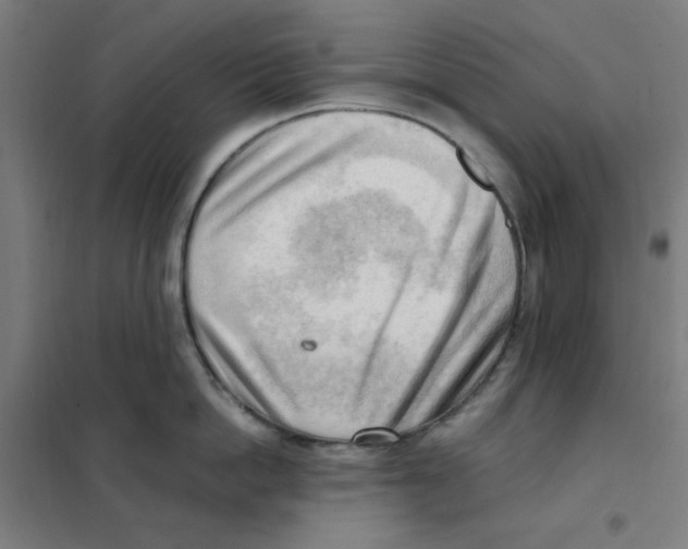 X0000101410862200808041103