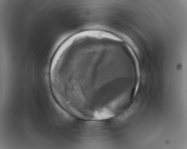 X0000101410863200808041103