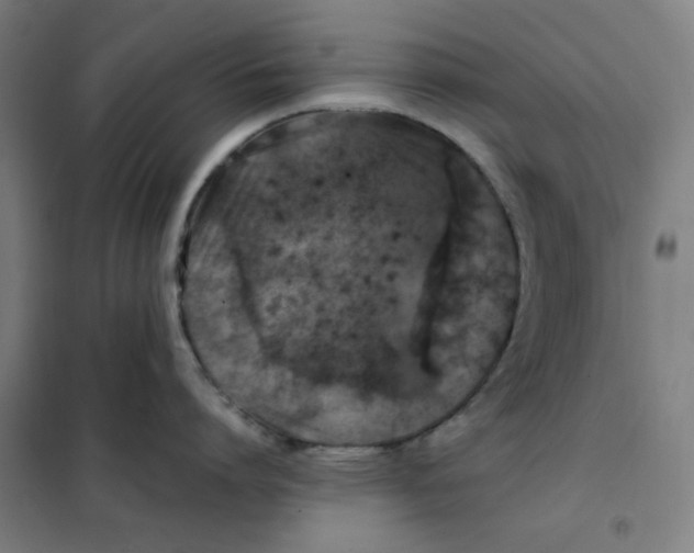 X0000101410864200808041103