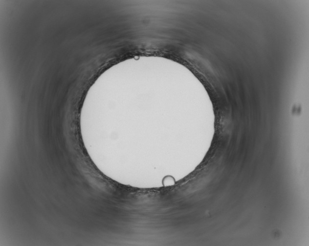 X0000101410865200808041102