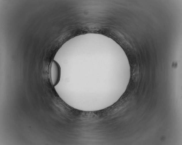 X0000101410866200808041102