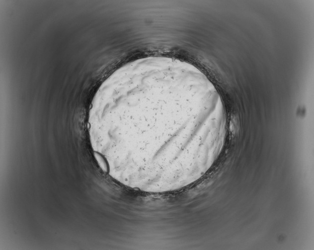 X0000101410867200808041102