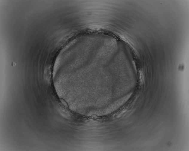 X0000101410868200808041102