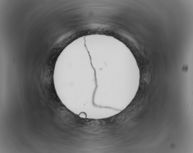X0000101410869200808041102