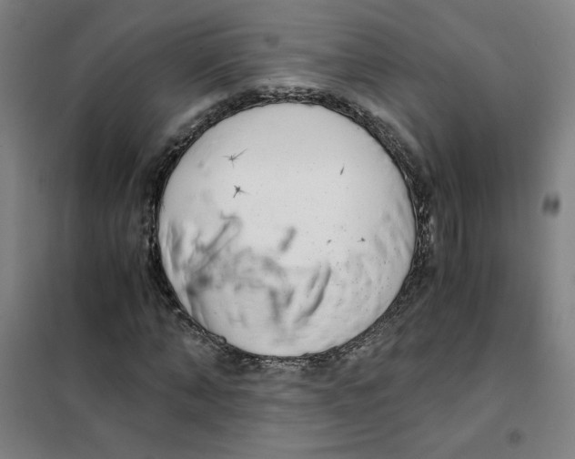 X0000101410870200808041102