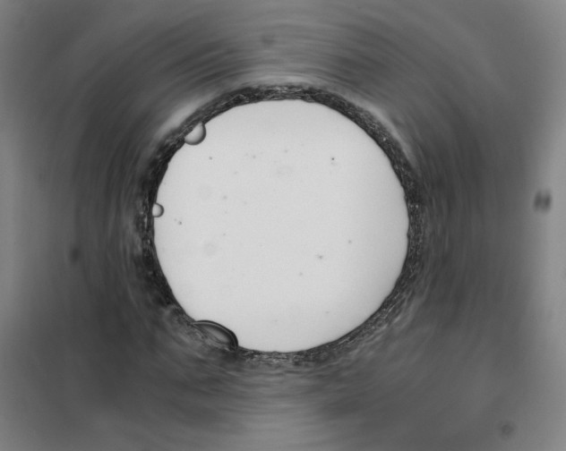 X0000101410871200808041102