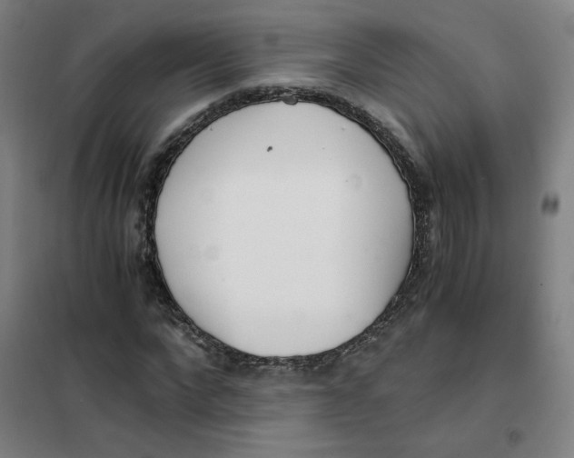 X0000101410872200808041102