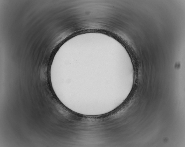 X0000101410873200808041102