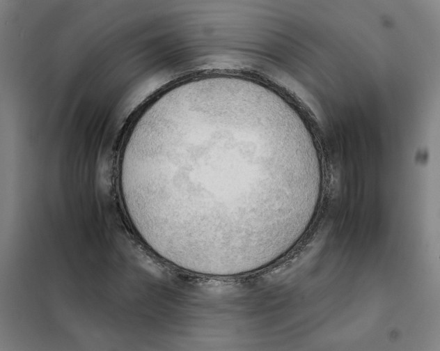 X0000101410874200808041102