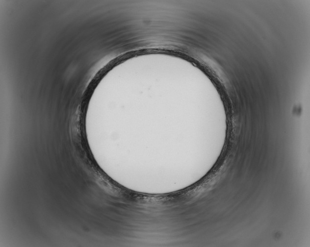 X0000101410875200808041102