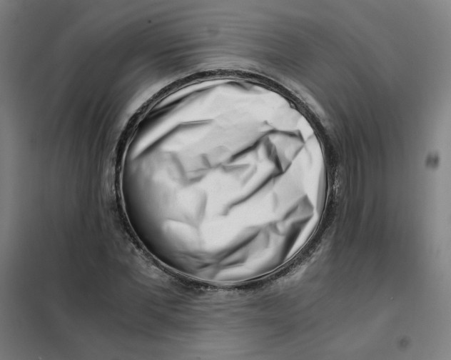 X0000101410877200808041102
