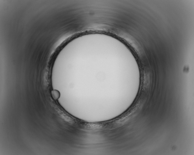 X0000101410878200808041102