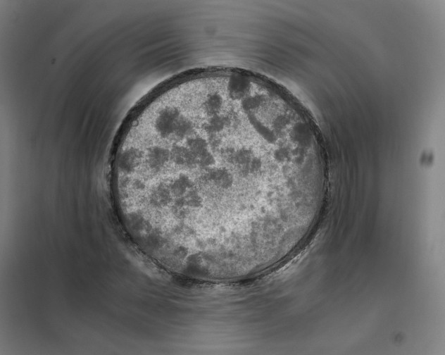 X0000101410879200808041102