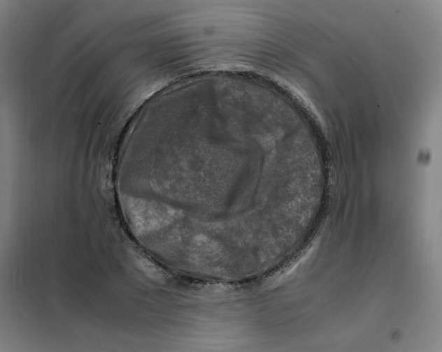 X0000101410881200808041102