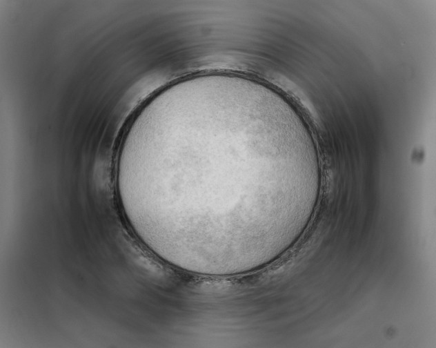 X0000101410882200808041102