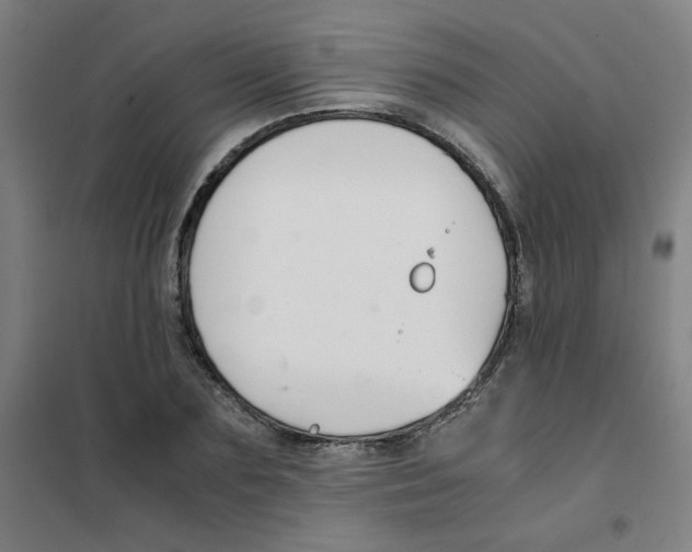 X0000101410883200808041102