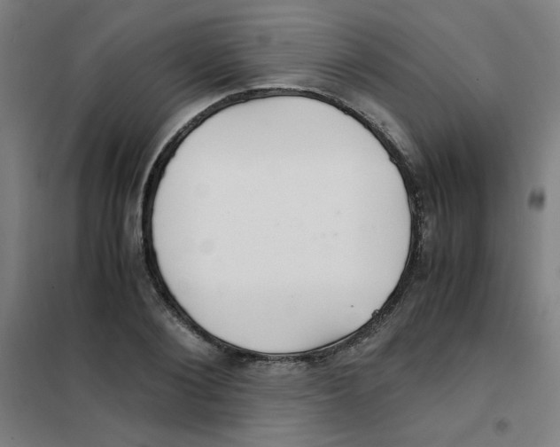 X0000101410884200808041102