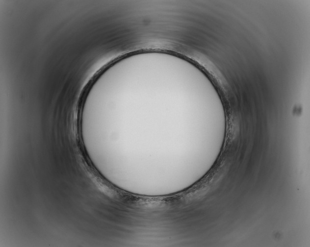 X0000101410886200808041102