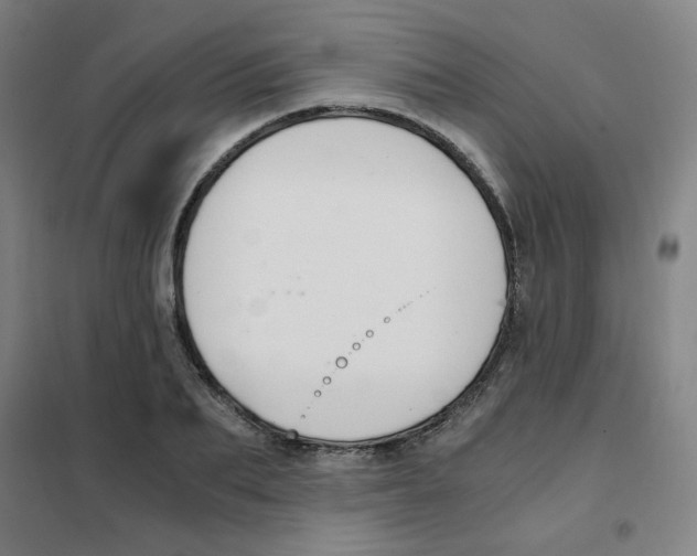 X0000101410887200808041102