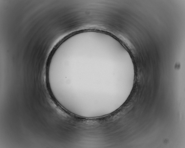 X0000101410888200808041102