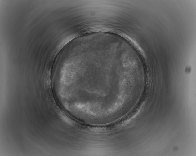 X0000101410889200808041102