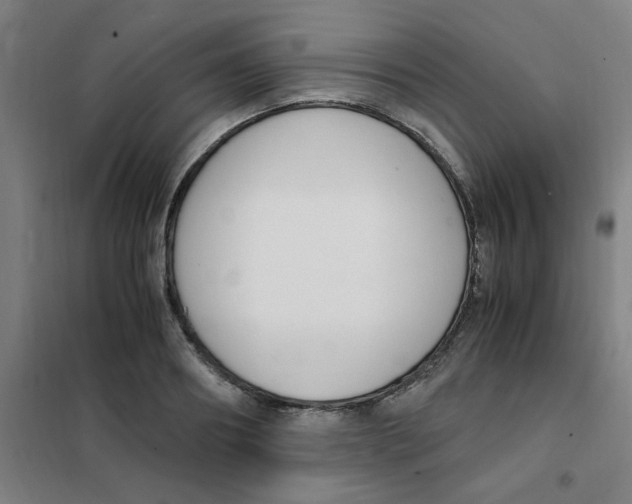 X0000101410890200808041102