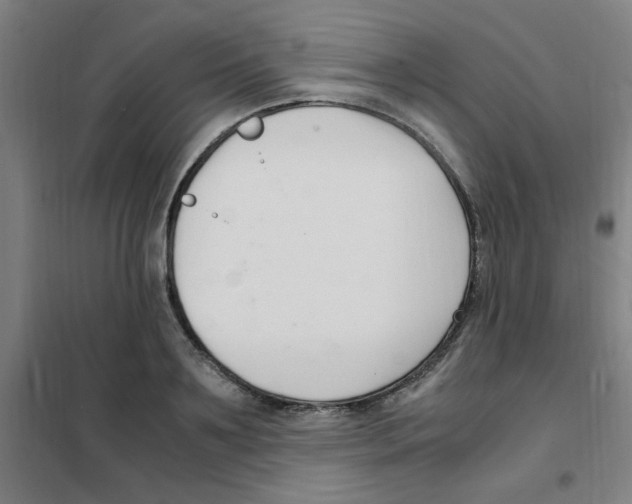 X0000101410891200808041102