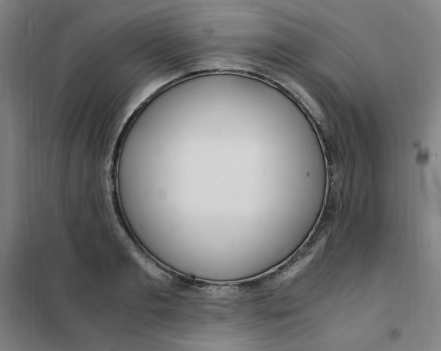 X0000101410893200808041101