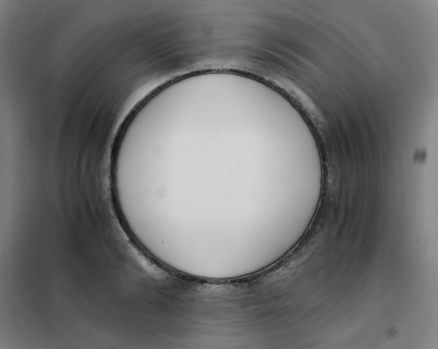 X0000101410894200808041101