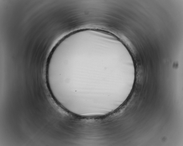 X0000101410896200808041101