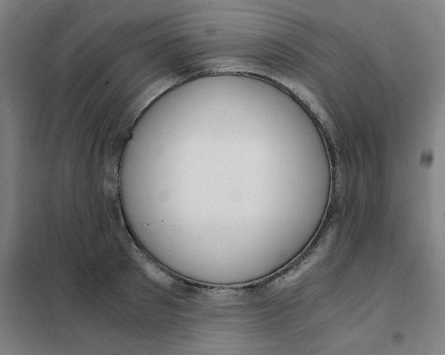 X0000101410897200808041101