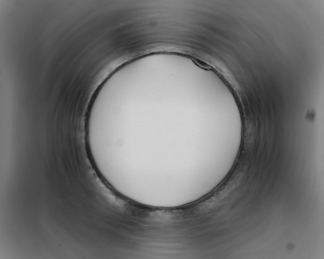 X0000101410898200808041101