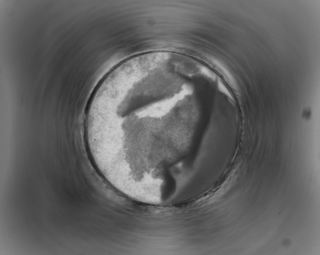 X0000101410899200808041101