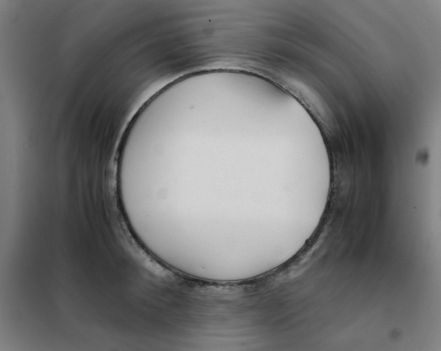 X0000101410900200808041101
